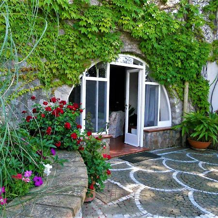 Villa Le Olivine Sorrento Dış mekan fotoğraf