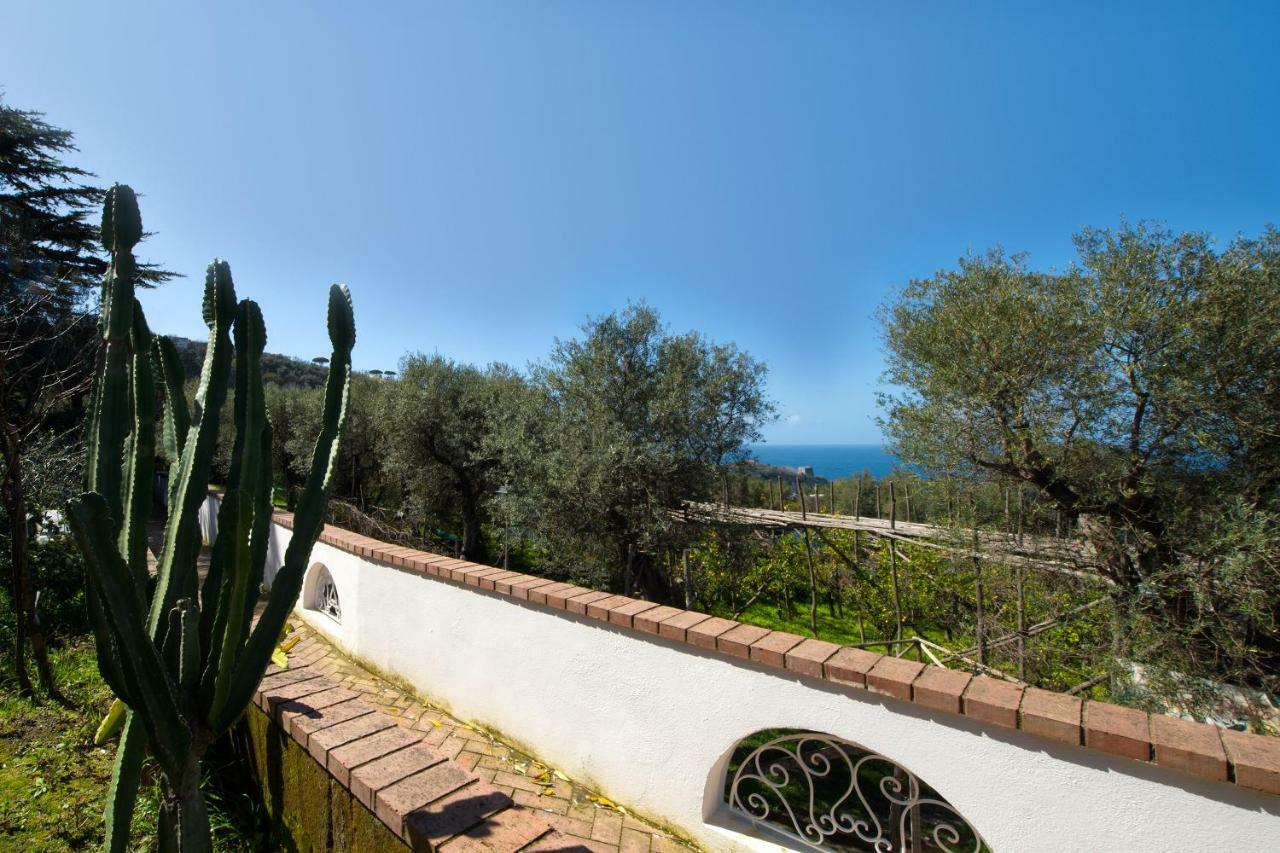 Villa Le Olivine Sorrento Dış mekan fotoğraf