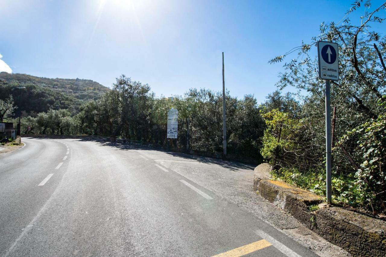 Villa Le Olivine Sorrento Dış mekan fotoğraf