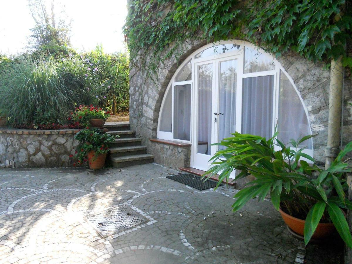 Villa Le Olivine Sorrento Dış mekan fotoğraf