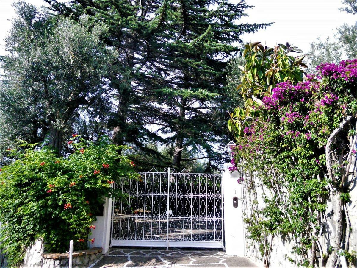 Villa Le Olivine Sorrento Dış mekan fotoğraf