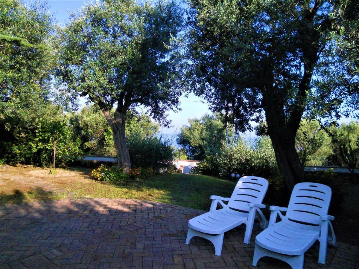 Villa Le Olivine Sorrento Dış mekan fotoğraf