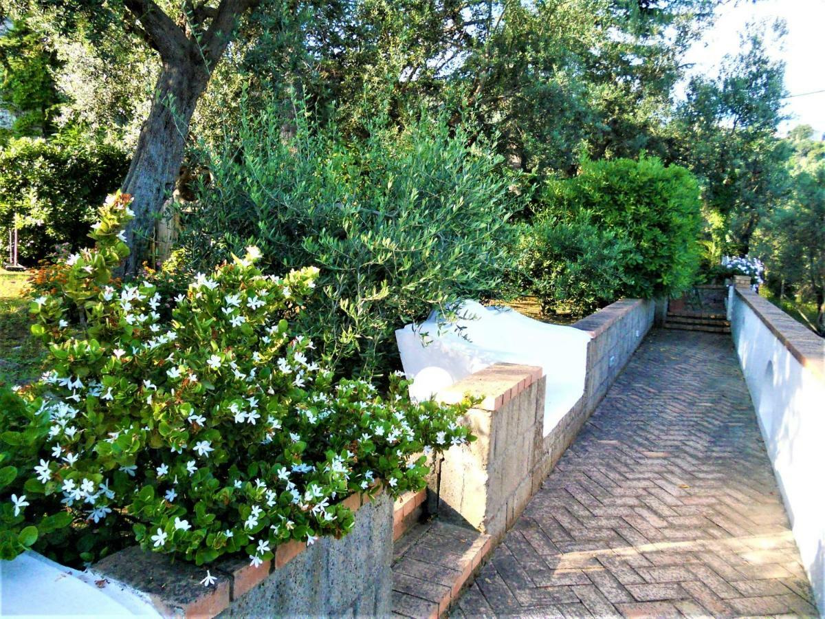 Villa Le Olivine Sorrento Dış mekan fotoğraf