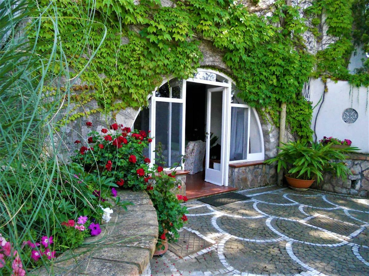 Villa Le Olivine Sorrento Dış mekan fotoğraf